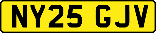 NY25GJV