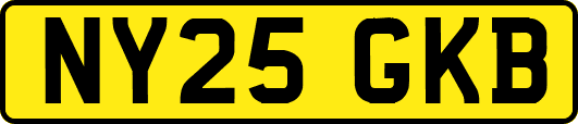 NY25GKB