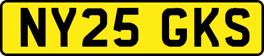 NY25GKS