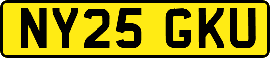 NY25GKU