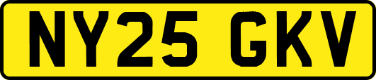 NY25GKV