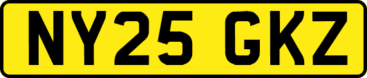 NY25GKZ