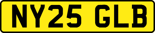 NY25GLB