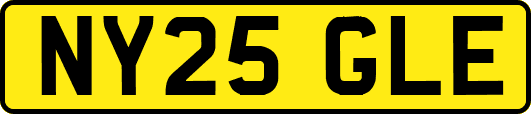 NY25GLE