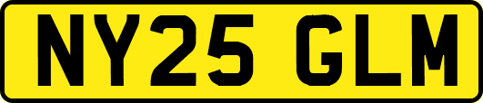 NY25GLM