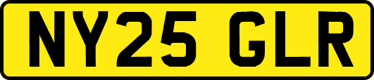 NY25GLR