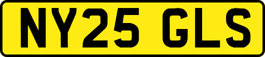 NY25GLS