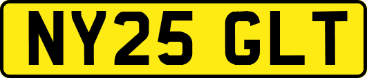 NY25GLT