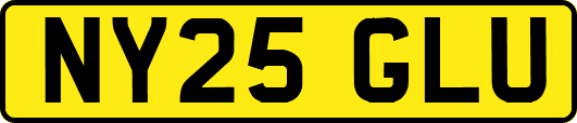 NY25GLU