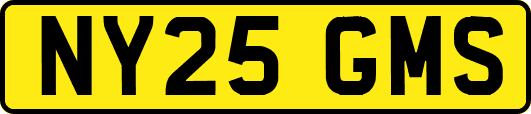 NY25GMS