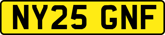 NY25GNF