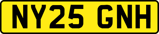 NY25GNH