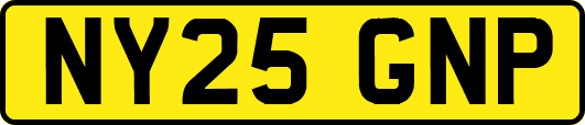 NY25GNP