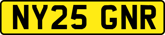 NY25GNR