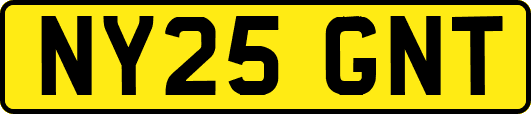NY25GNT