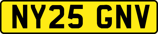 NY25GNV