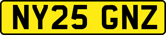 NY25GNZ