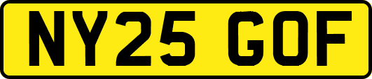 NY25GOF