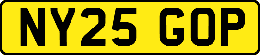 NY25GOP