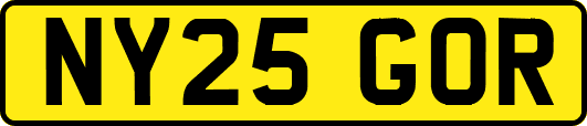 NY25GOR