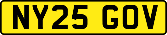 NY25GOV
