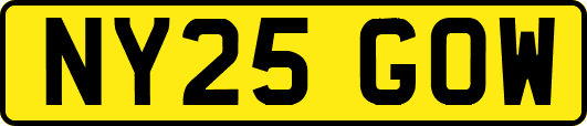 NY25GOW