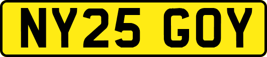 NY25GOY