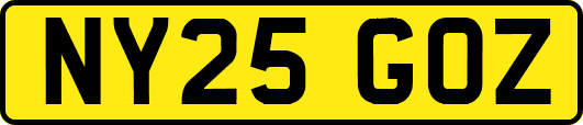 NY25GOZ
