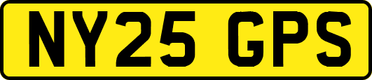 NY25GPS