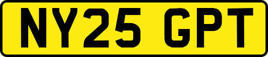 NY25GPT