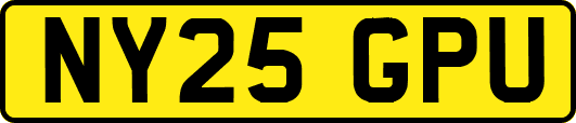 NY25GPU