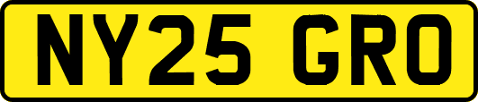 NY25GRO