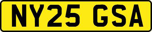 NY25GSA