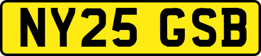 NY25GSB