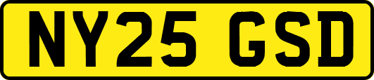 NY25GSD