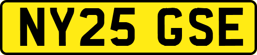 NY25GSE