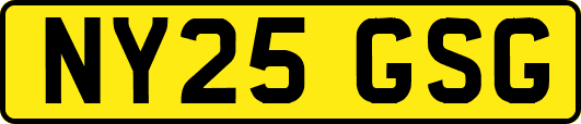 NY25GSG