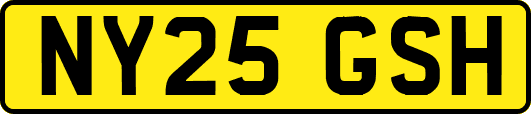 NY25GSH