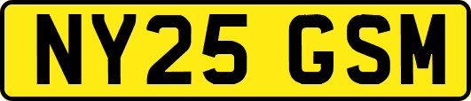 NY25GSM