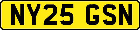 NY25GSN
