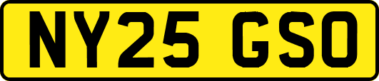 NY25GSO