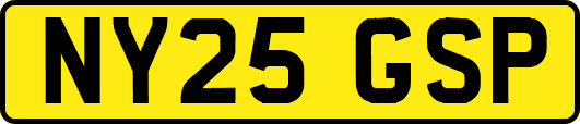 NY25GSP