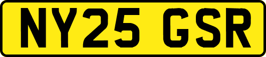 NY25GSR