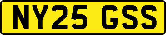 NY25GSS