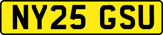 NY25GSU