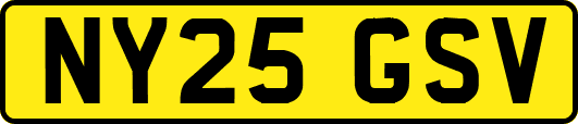NY25GSV