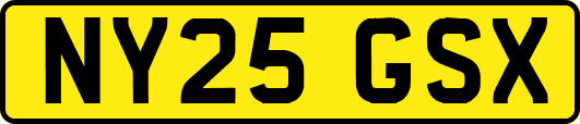 NY25GSX