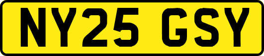 NY25GSY