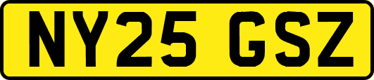 NY25GSZ