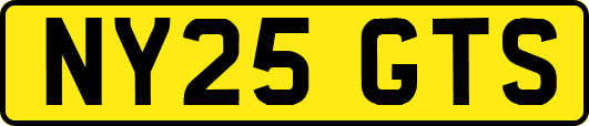 NY25GTS